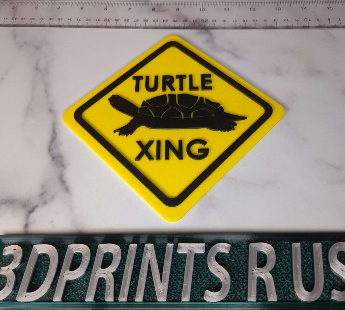 Turtle Crossing